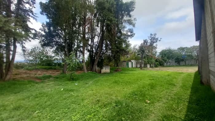 TERRENO EN VENTA Y EN RENTA EN VILLA NUEVA