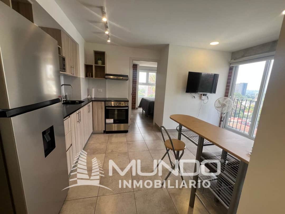 APARTAMENTO AMUEBLADO EN RENTA ZONA 10