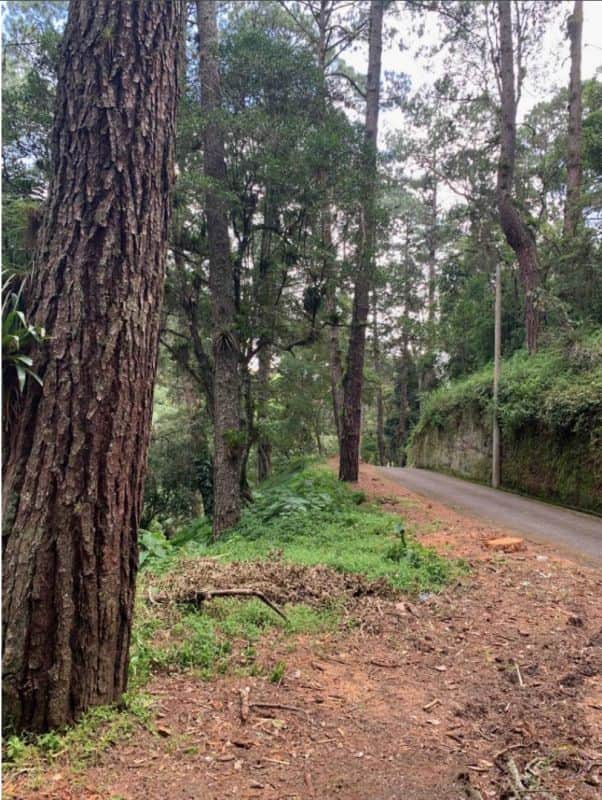 Terreno en Muxbal, Carretera a El Salvador