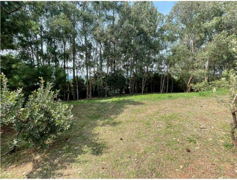 Terreno en Condominio El Pulté, Zona 16