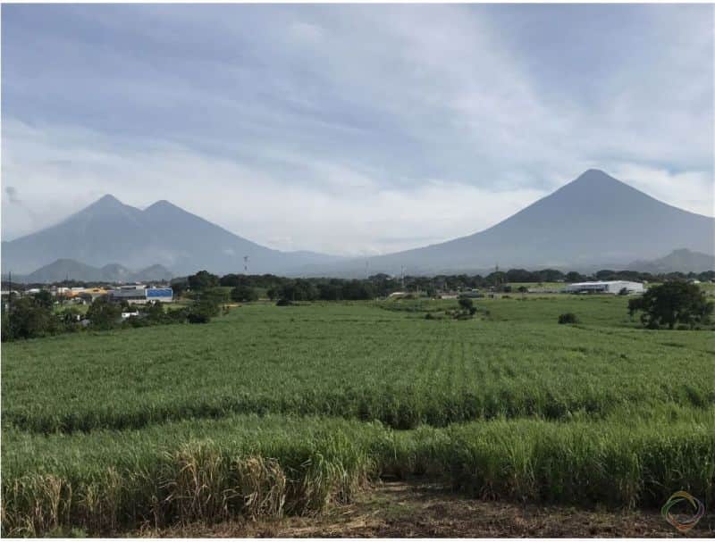 Finca en Escuintla