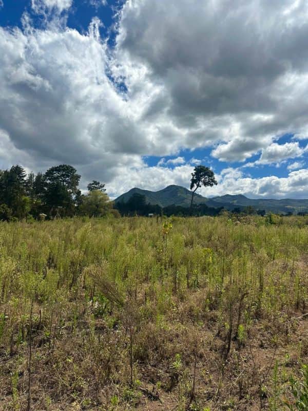 Terreno en venta en Jurisdicción de San Andres Itzapa , Chimaltenango