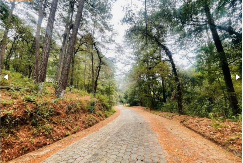 terreno en venta dentro de garita