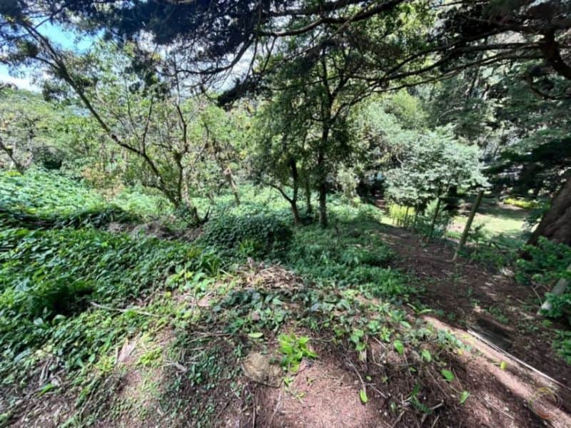 Terreno en Venta Vistalvalle km.9 CAES