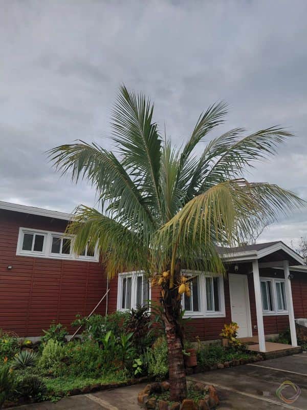 Casa en venta en Masagua, Escuintla