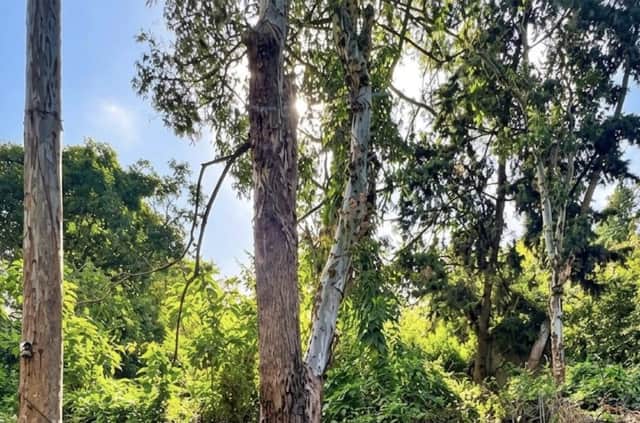 Terreno en venta en Santa Catarina Pinula, Guatemala · 1,026 m²