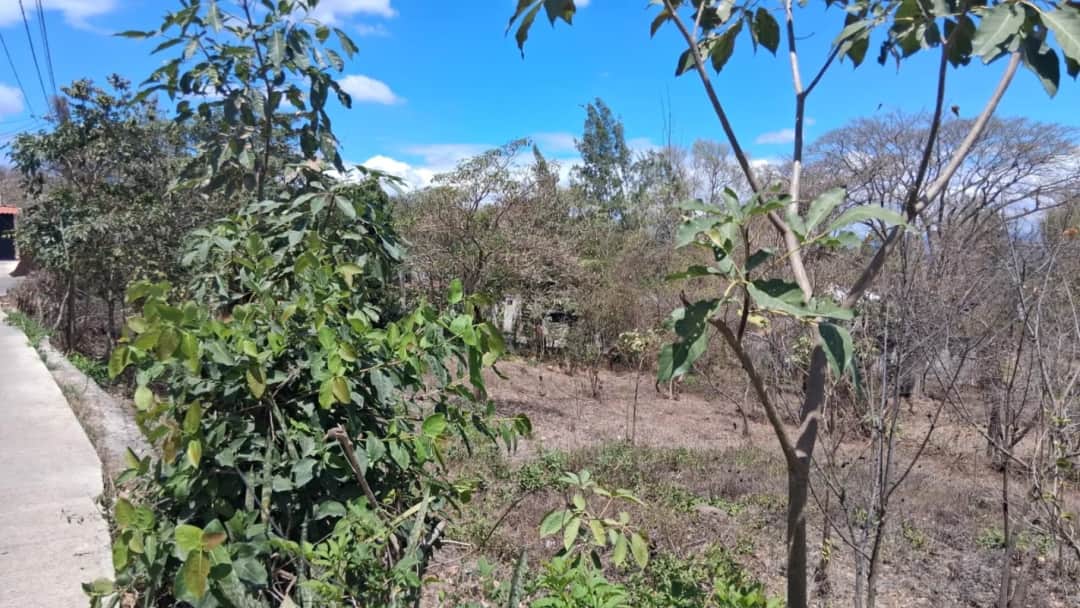Terreno de 1,510 metros en San Antonio La Paz, El Progreso Q550,000