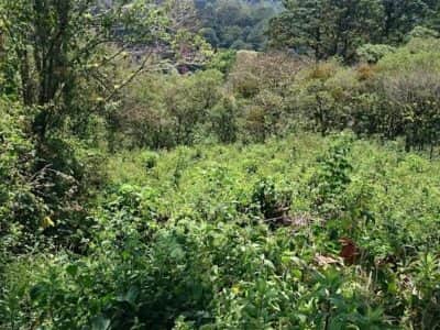 Terreno en Venta en Carretera a El Salvador