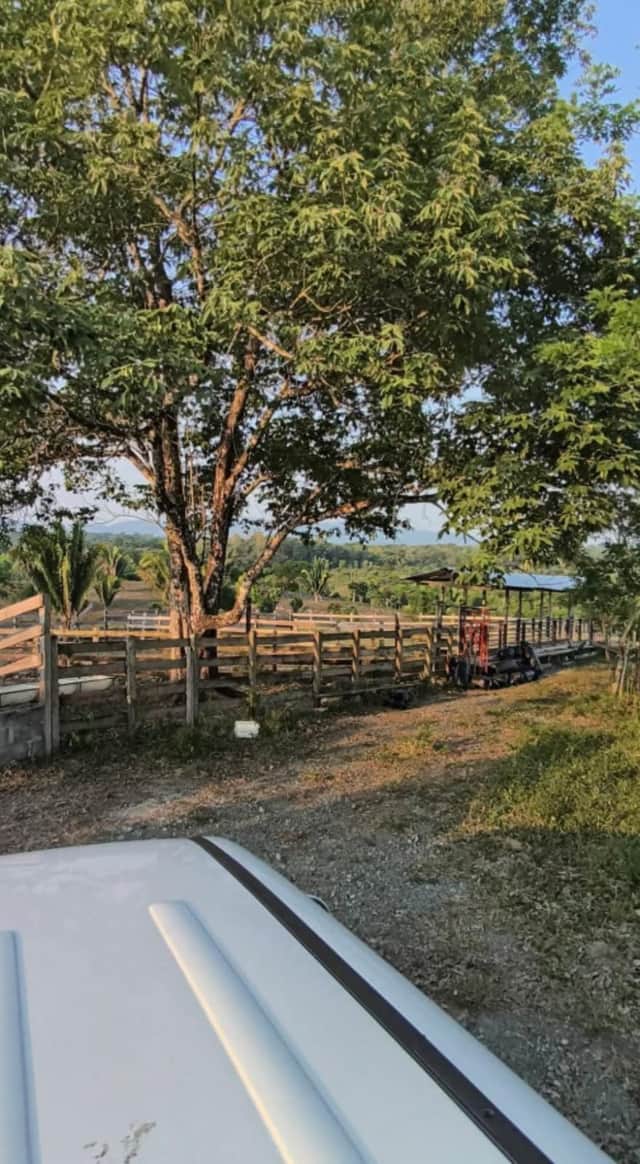 Terreno en venta en Zona 1, Livingston