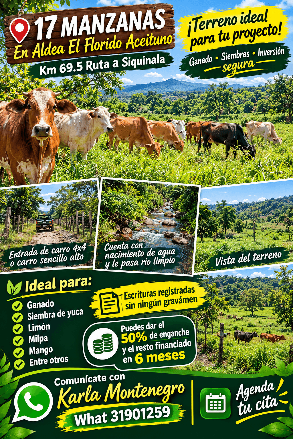 Terreno agrícola m² en Aldea El Florido Aceituno, Escuintla
