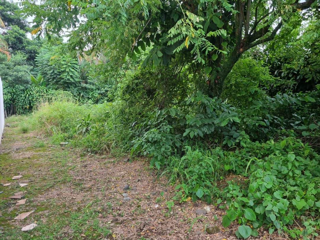 Terreno en venta en Aldea San Isidro, Malacatán, San Marcos · 500 m², con escritura registrada y dos accesos