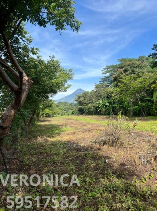 Terreno Agroindustrial
