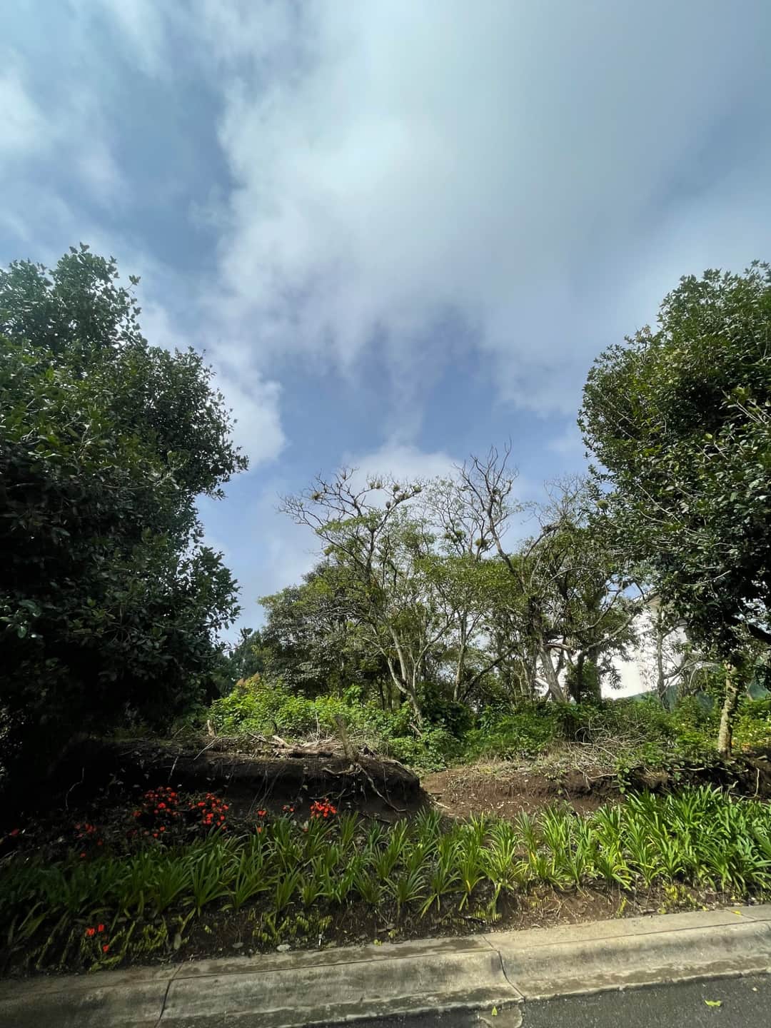 Terreno en venta en carretera a El Salvador, vista al valle
