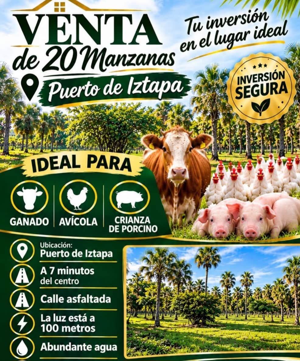 20 manzanas