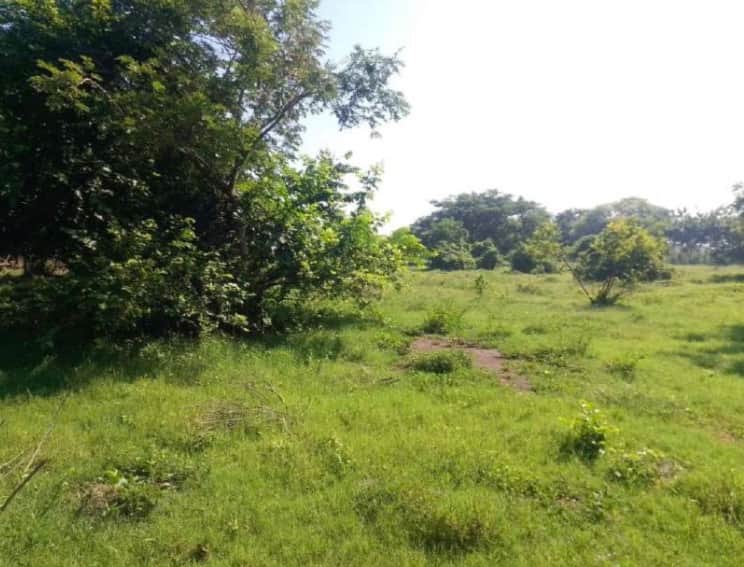 Terreno de gran extensión en venta, Puerto San José, Escuintla