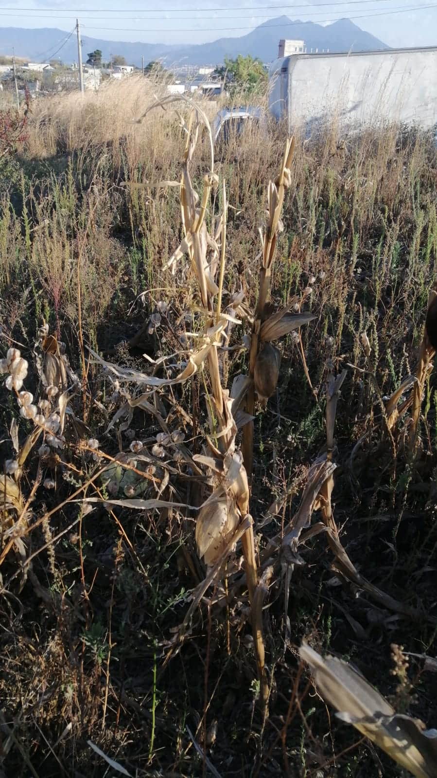 terreno en zona 8 de villa nueva