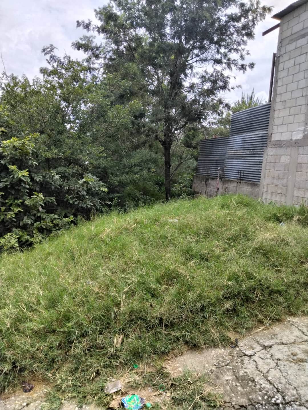 Lote Rustico