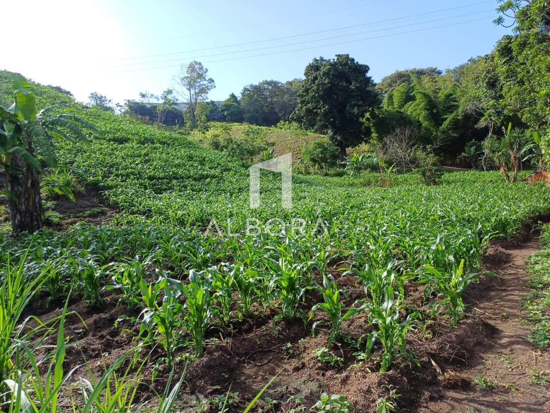 Terreno en llano largo Carretera al atlántico