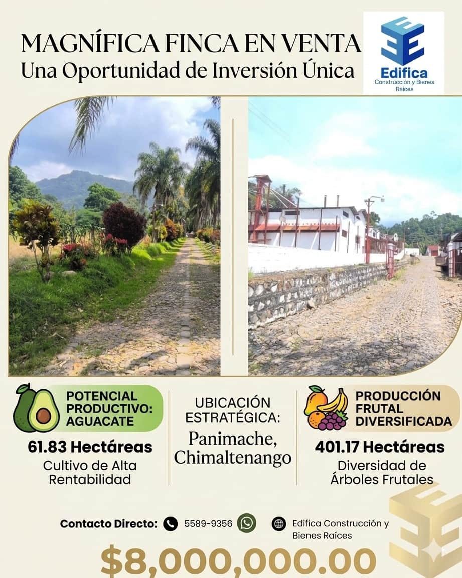Finca de gran extensión con producción de aguacate y frutas diversificada