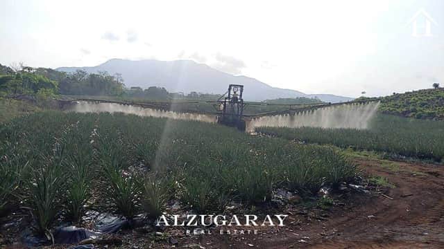 Terreno en venta en Santa Lucía Cotzumalguapa, Escuintla